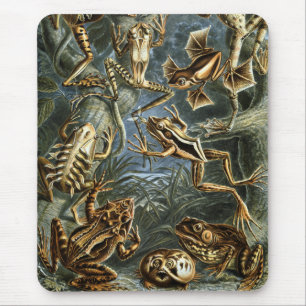 Kikkers en kussens muismat