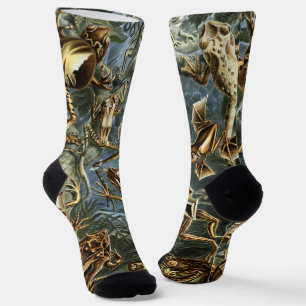 Kikkers en padden Batrachia door Ernst Haeckel Sokken