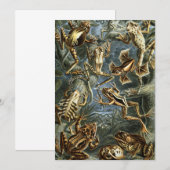 Kikkers en padden Batrachia van Ernst Haeckel Kaart (Voorkant / Achterkant)