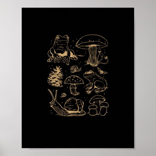 Kikkers En Paddenstoelen Vintage Schets – Esthetis Poster (Voorkant)