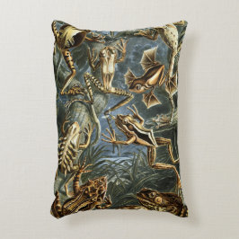 Kikkers en Toads Batrachia van Ernst Haeckel Accent Kussen