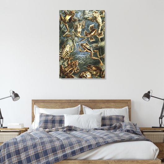  Kikkers en Toads Batrachia van Ernst Haeckel Canvas Afdruk (Insitu (Slaapkamer))