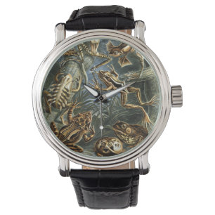 Kikkers en Toads Batrachia van Ernst Haeckel Horloge