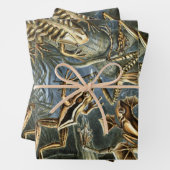  Kikkers en Toads Batrachia van Ernst Haeckel Inpakpapier Vel (In situ)