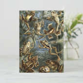  Kikkers en Toads Batrachia van Ernst Haeckel Kaart (Staand voorkant)
