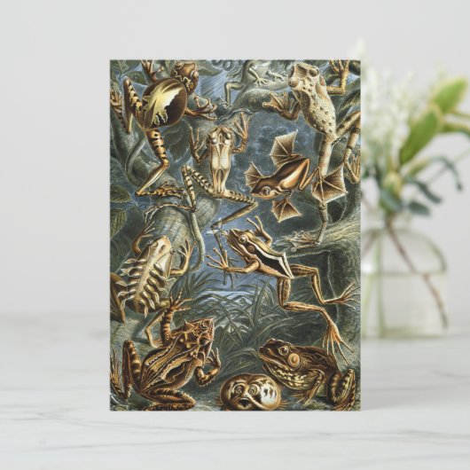  Kikkers en Toads Batrachia van Ernst Haeckel Kaart (Staand voorkant)