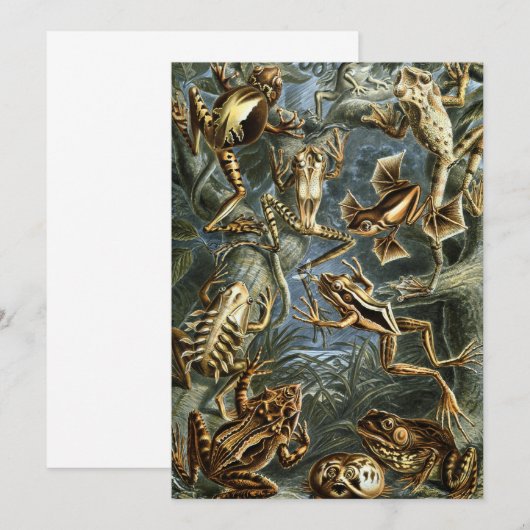  Kikkers en Toads Batrachia van Ernst Haeckel Kaart (Voorkant / Achterkant)