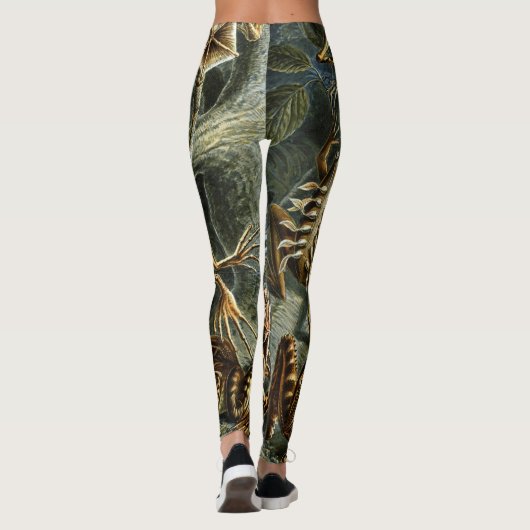  Kikkers en Toads Batrachia van Ernst Haeckel Leggings (Achterkant)