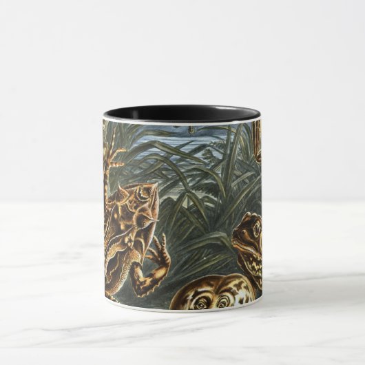  Kikkers en Toads Batrachia van Ernst Haeckel Mok (Midden)