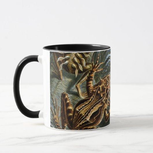  Kikkers en Toads Batrachia van Ernst Haeckel Mok (Links)