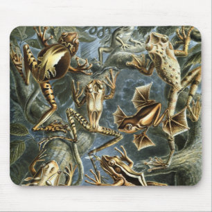  Kikkers en Toads Batrachia van Ernst Haeckel Muismat
