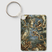  Kikkers en Toads Batrachia van Ernst Haeckel Sleutelhanger (Voorkant)