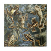  Kikkers en Toads Batrachia van Ernst Haeckel Tegeltje (Voorkant)