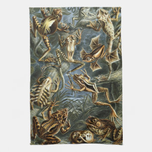  Kikkers en Toads Batrachia van Ernst Haeckel Theedoek