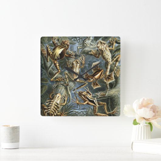  Kikkers en Toads Batrachia van Ernst Haeckel Vierkante Klok (Huis)