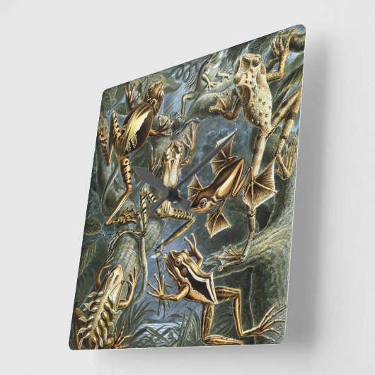  Kikkers en Toads Batrachia van Ernst Haeckel Vierkante Klok (Hoek)