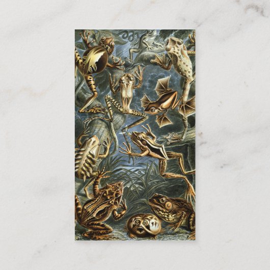  Kikkers en Toads Batrachia van Ernst Haeckel Visitekaartje (Achterkant)