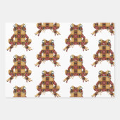 Kikkers Galor Wrapping Paper Flat Sheet Set van 3 (Voorkant 2)