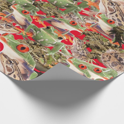 Kikkers Galore Multicolored Cadeaupapier (Hoek)