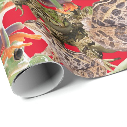 Kikkers Galore Multicolored Cadeaupapier (Rol Hoek)