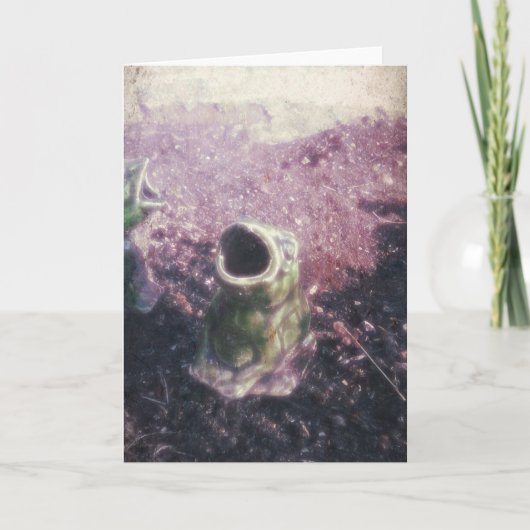 Kikkers in de tuin kaart (Voorkant)