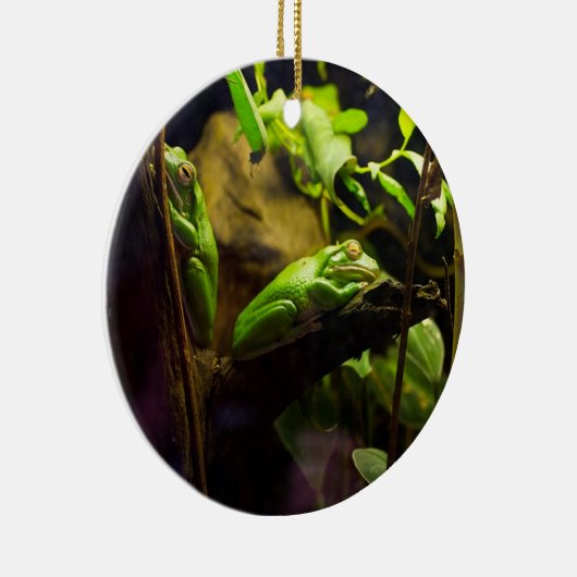 Kikkers in een boom keramisch ornament (Rechts)