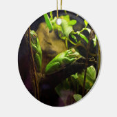 Kikkers in een boom keramisch ornament (Links)