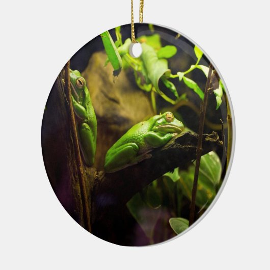 Kikkers in een boom keramisch ornament (Links)