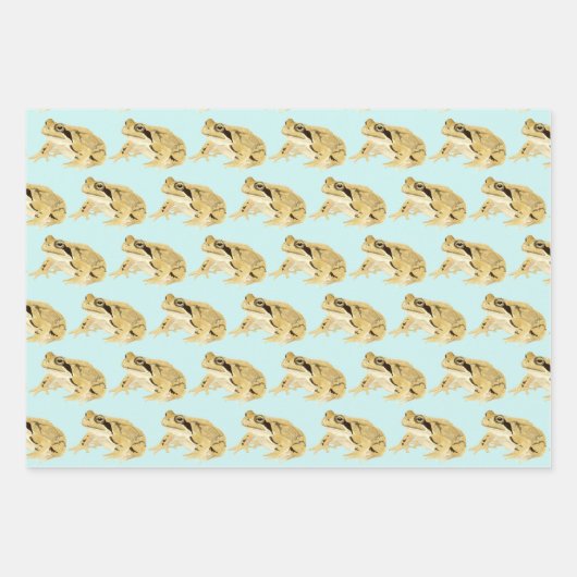 Kikkers Inpakpapier Vel (Voorkant 3)