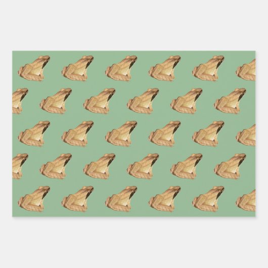 Kikkers Inpakpapier Vel (Voorkant)