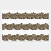 Kikkers Inpakpapier Vel (Voorkant 3)