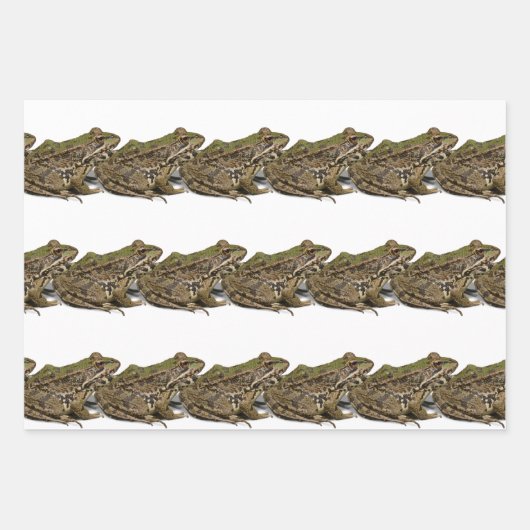 Kikkers Inpakpapier Vel (Voorkant 3)