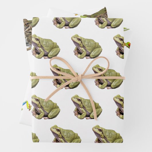 Kikkers Inpakpapier Vel (In situ)