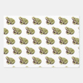 Kikkers Inpakpapier Vel (Voorkant)