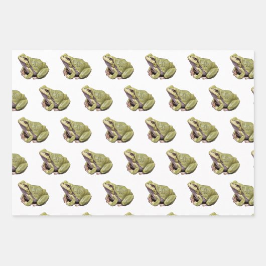 Kikkers Inpakpapier Vel (Voorkant)