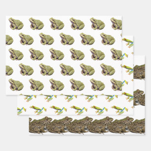 Kikkers Inpakpapier Vel
