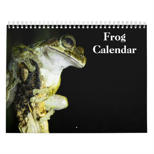 kikkers kalender 2027 (Hoes)