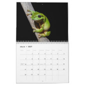 kikkers kalender 2027 (Mar 2027)