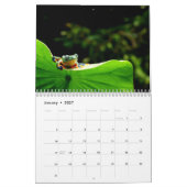 kikkers kalender 2027 (Jan 2027)