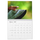 kikkers kalender 2027 (Feb 2027)