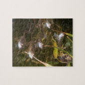 Kikkers, kikkers en meer kikkers legpuzzel (Horizontaal)