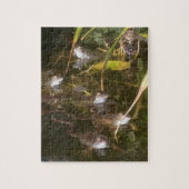 Kikkers, kikkers en meer kikkers legpuzzel (Verticaal)