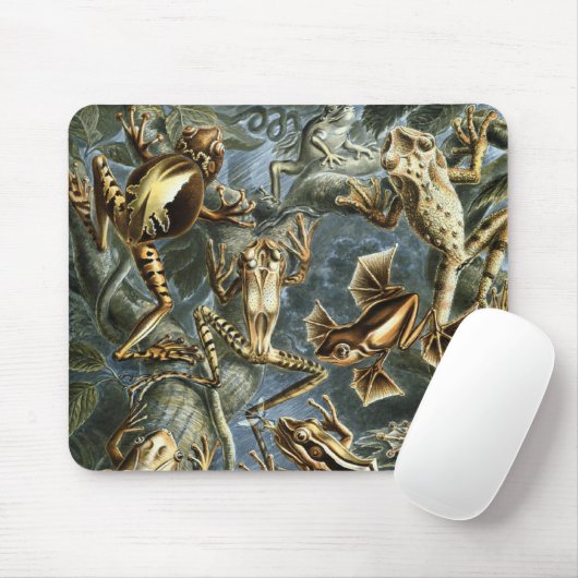 Kikkers Muismat (Met muis)