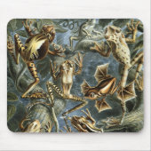 Kikkers Muismat (Voorkant)