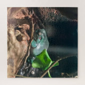 Kikkers Mystery Life nr. 2 Legpuzzel (Verticaal)