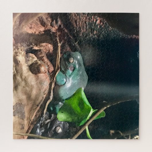 Kikkers Mystery Life nr. 2 Legpuzzel (Verticaal)