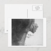 Kikkers op de foto van Deadwood Road Briefkaart (Voorkant / Achterkant)