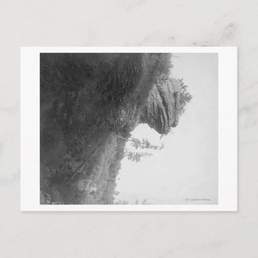 Kikkers op de foto van Deadwood Road Briefkaart (Voorkant)