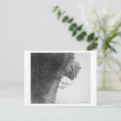 Kikkers op de foto van Deadwood Road Briefkaart (Staand voorkant)