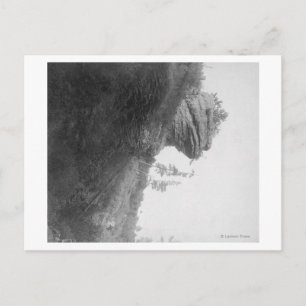 Kikkers op de foto van Deadwood Road Briefkaart